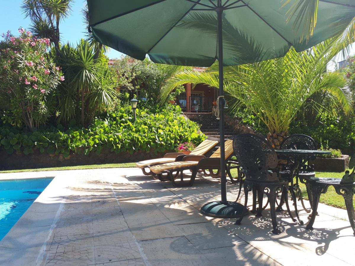 Quintinha Dos Cedros Villa Alfândega da Fé Exteriör bild