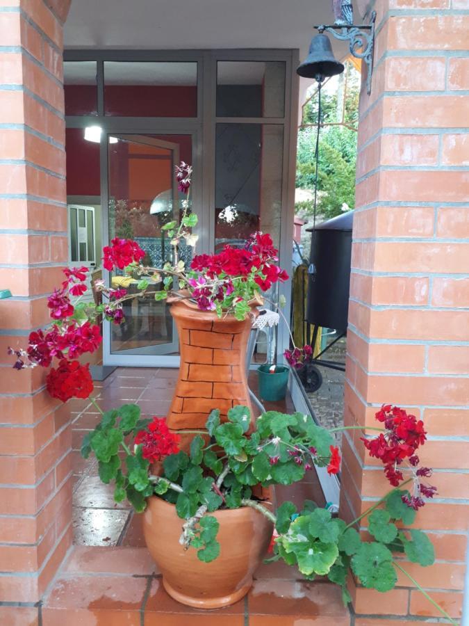 Quintinha Dos Cedros Villa Alfândega da Fé Exteriör bild